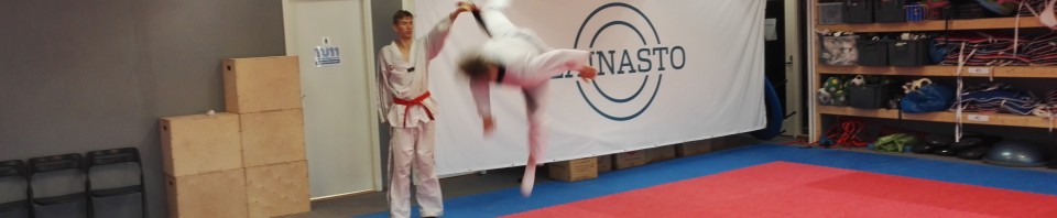 Jumping back spin kick. Christian Kamphuis