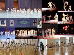 跆拳道节，2012 年 8 月 17 日至 19 日图尔库