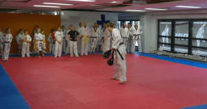 Taekwondo | TU11 - Otteluleiri