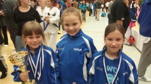 Medals for taekwondo athletes from Porvoo