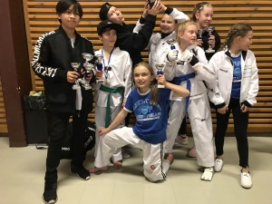 Parhaan otteluseuran palkinto Taekwondourheilijoille Ambassador’s Cupista