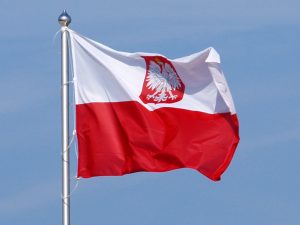 Pieni iskujoukko Polish Openissa